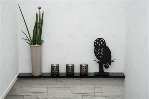 Owl black on shelf