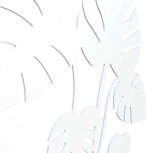 Monstera white detailed