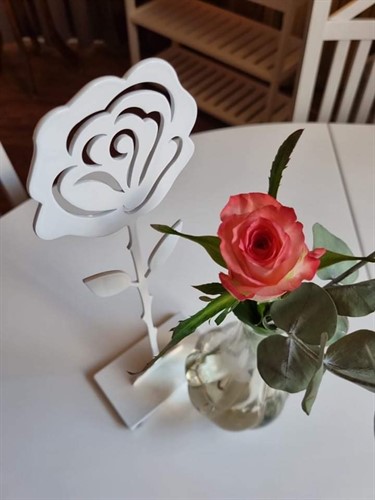 Rose white picture from above