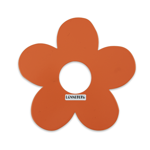 Flower decoration table and wall orange