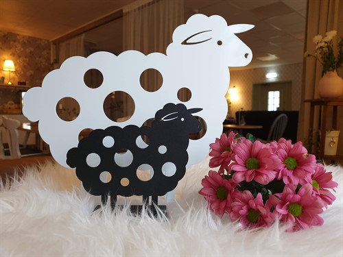 Sheep black and white