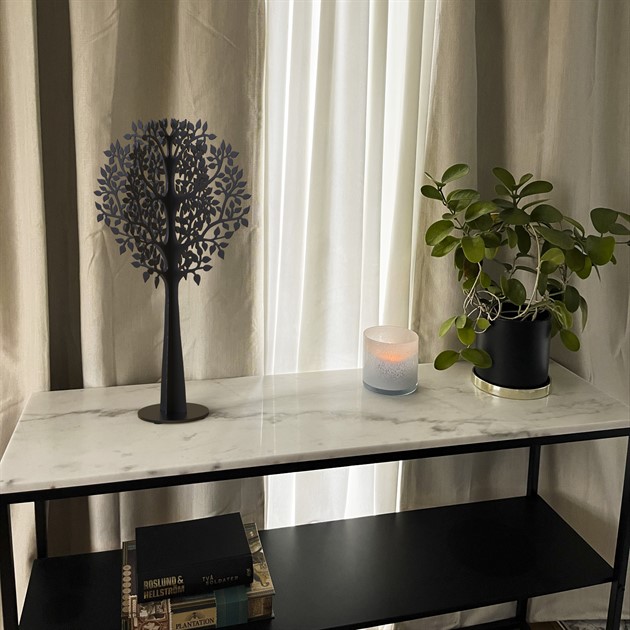 X-Tree Lonneberg compact