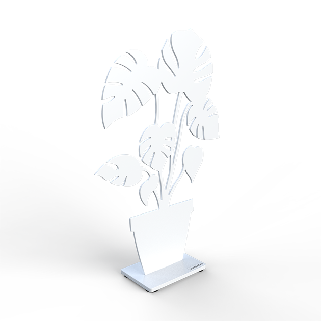 Monstera 30 cm white