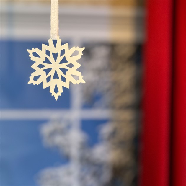 Frost star 10 cm white