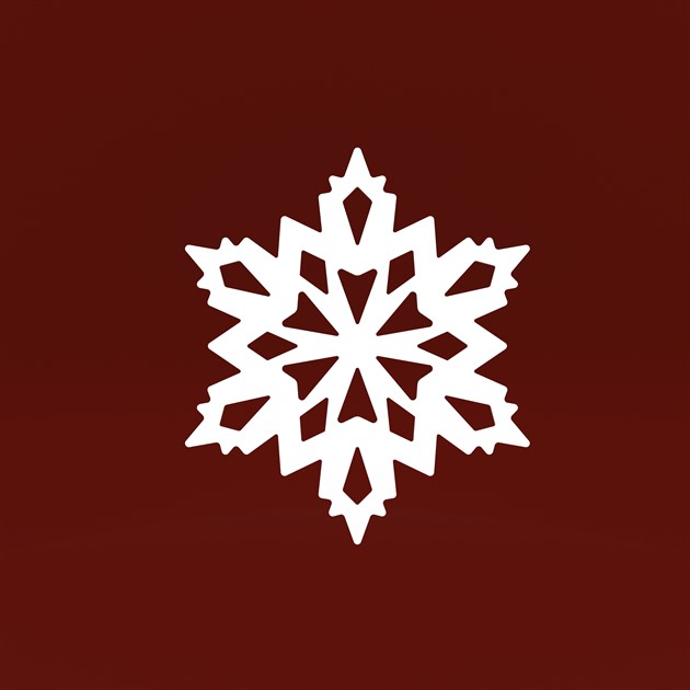 Frost star 15 cm white