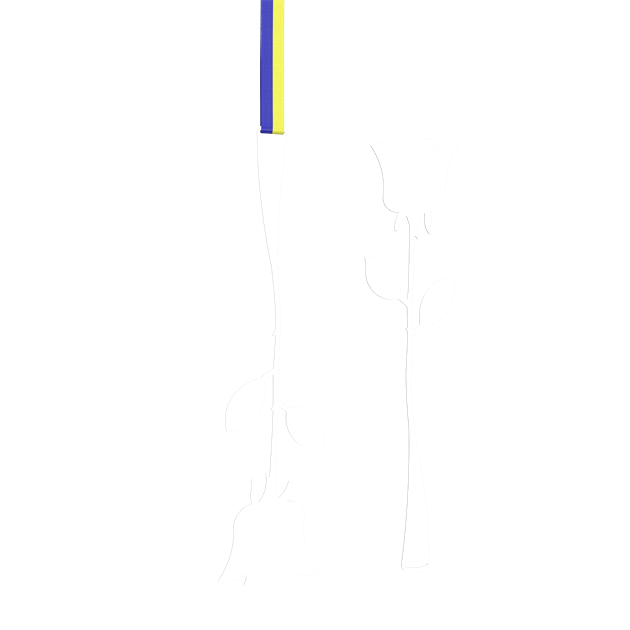 Rose with ;a blue and yellow ribbon 30 cm white